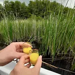 Mit Eigenem Boot & 2 Fahrraedern 100 M Zum An Den Sieben Seen *