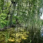 Mit Eigenem Boot & 2 Fahrraedern 100 M Zum An Den Sieben Seen 度假居