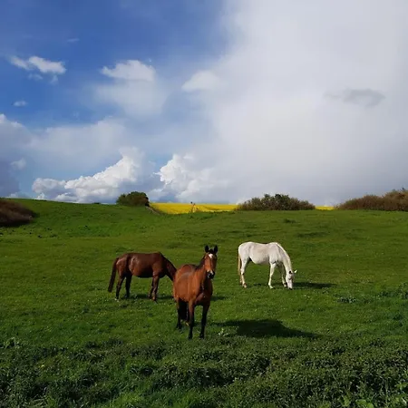 度假居 An Den Sieben Seen Lohmen (Mecklenburg-Vorpommern)