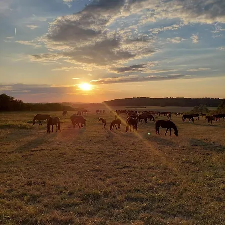 An Den Sieben Seen 度假居 *