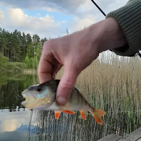 An Den Sieben Seen 度假居 *