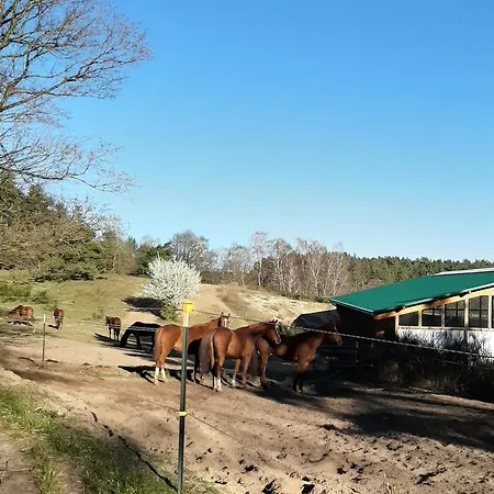 An Den Sieben Seen 度假居