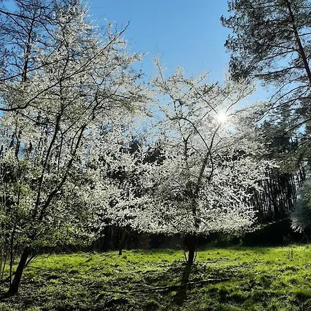 An Den Sieben Seen 度假居