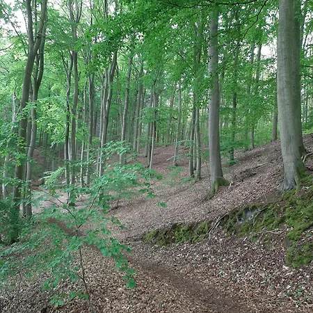 Mit Eigenem Boot & 2 Fahrraedern Ca 100 M Zum An Den Sieben Seen Lohmen (Mecklenburg-Vorpommern)