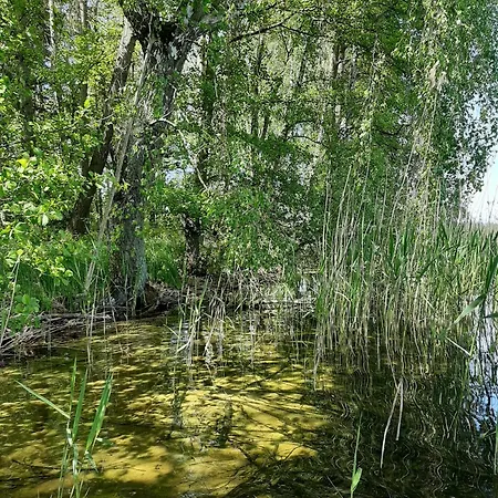 Mit Eigenem Boot & 2 Fahrraedern Ca 100 M Zum An Den Sieben Seen Casa de Férias