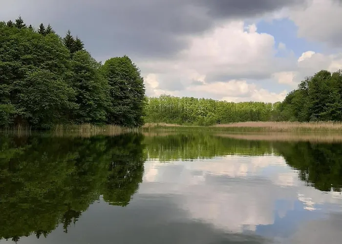 Hébergement de vacances Ferienhaus Mit Eigenem Boot & 2 Fahrraedern 100 M Zum See An Den Sieben Seen *