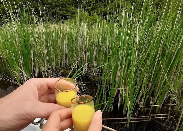 Ferienhaus Mit Eigenem Boot & 2 Fahrraedern 100 M Zum See An Den Sieben Seen *