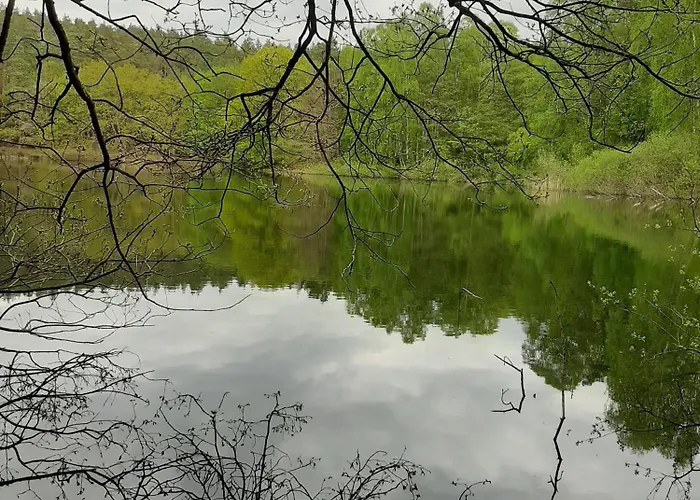Ferienhaus Mit Eigenem Boot & 2 Fahrraedern 100 M Zum See An Den Sieben Seen *