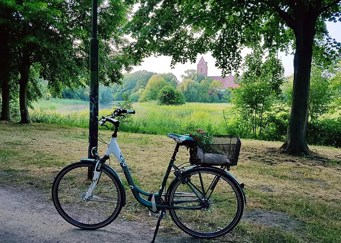 Ferienhaus Mit Eigenem Boot & 2 Fahrraedern 100 M Zum See An Den Sieben Seen