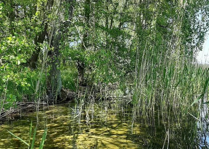 Ferienhaus Mit Eigenem Boot & 2 Fahrraedern 100 M Zum See An Den Sieben Seen Hébergement de vacances